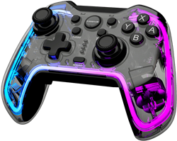 Xssive Nintendo Switch RGB Controller XSS-NS1 RGB